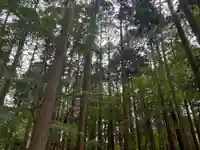 田村神社の自然