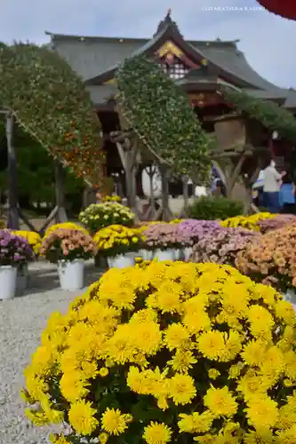 笠間稲荷神社(茨城県)