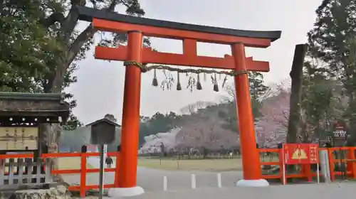 賀茂別雷神社（上賀茂神社）の鳥居