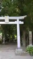 国造神社の鳥居