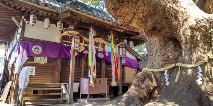 三島神社(大阪府)
