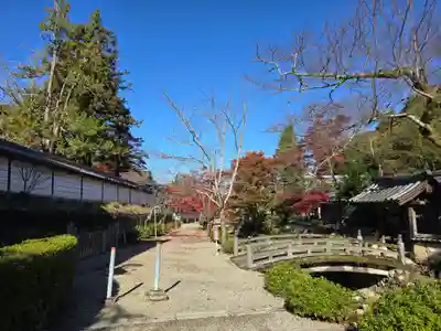 金剛寺(大阪府)