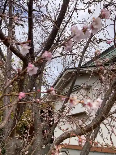 大久寺(神奈川県)