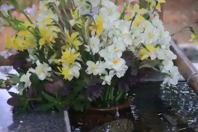 高司神社〜むすびの神の鎮まる社〜の手水舎