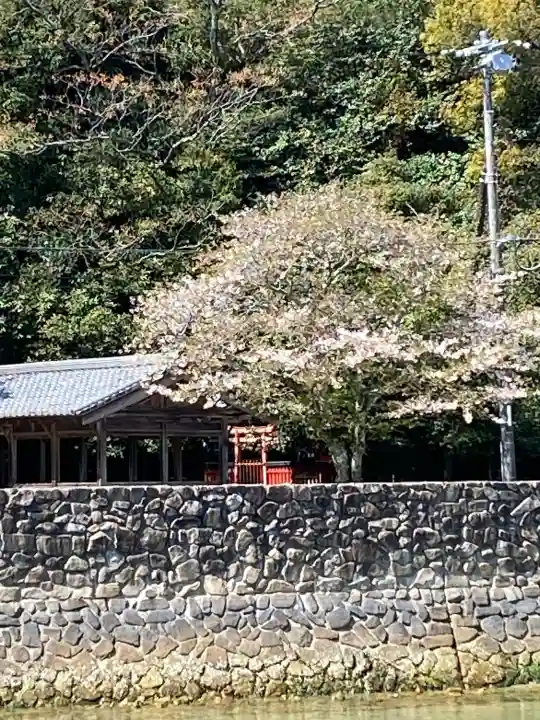 厳島神社の{uncategorized: "未分類", other: "その他", undefined: "問題あり", building: "その他建物", grave: "お墓", sacred_gate: "鳥居", guardian: "狛犬", statue: "像", buddha: "仏像", history: "歴史", nature: "自然", garden: "庭園", animal: "動物", pagoda: "塔", temizu: "手水舎", mountain_gate: "山門・神門", sanctuary: "本殿・本堂", subordinate: "末社・摂社", art: "芸術", scenery: "景色", jizo: "地蔵", ema: "絵馬", goshuin: "御朱印", omikuji: "おみくじ", items: "授与品その他", amulet: "お守り", goshuincho: "御朱印帳", eats: "食事", festival: "お祭り", votive_dance: "神楽", shichigosan: "七五三参", wedding: "結婚式", experience: "体験その他", initially: "初詣", around: "周辺", anti_infection: "感染症対策"}