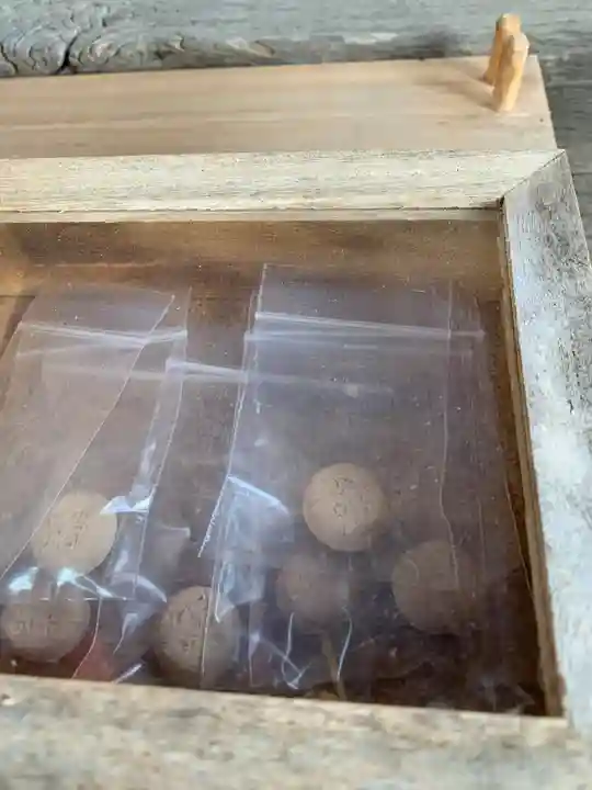 長沼八幡宮のその他建物