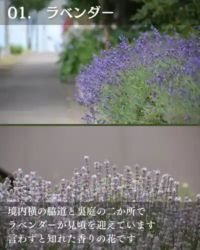 宝光寺(北海道)