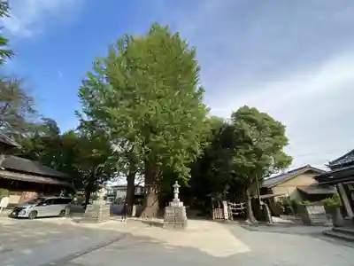 春日部八幡神社(埼玉県)