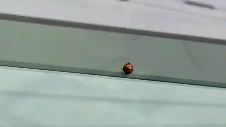 川村稲荷神社(北海道)