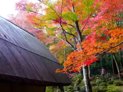 教林坊(滋賀県)