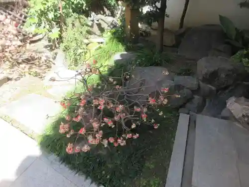 どんどろ大師善福寺(大阪府)