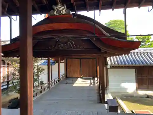 妙心寺（妙心禅寺）(京都府)