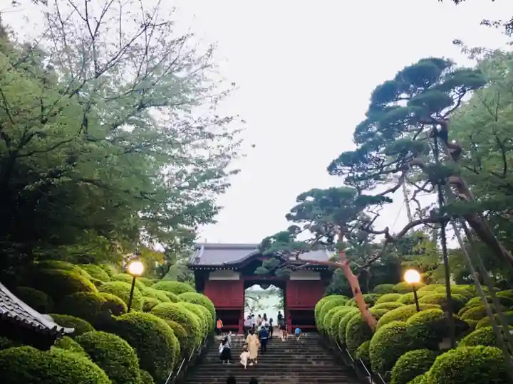 護国寺の山門・神門