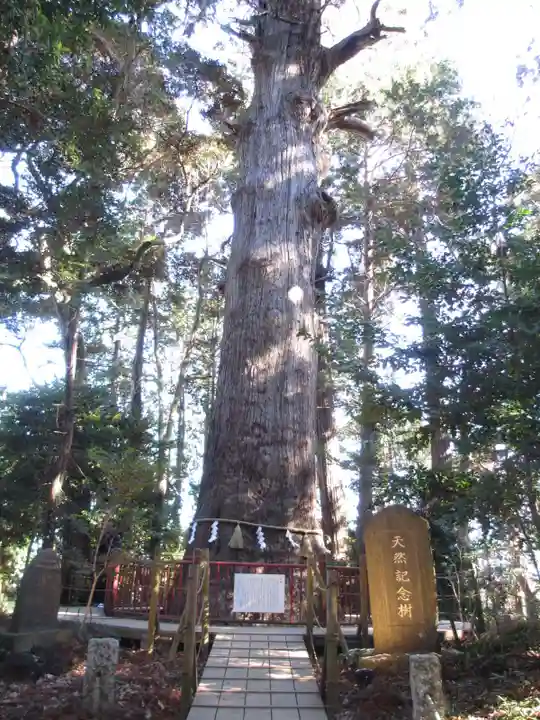 麻賀多神社の自然