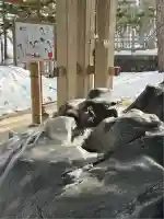 上川神社の動物