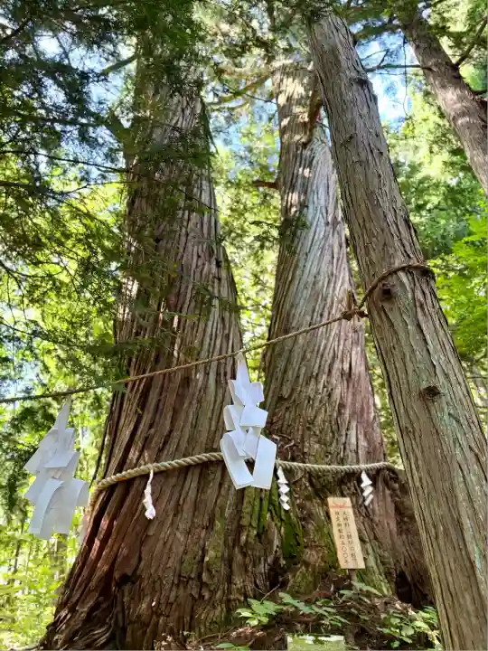 戸隠神社火之御子社(長野県)