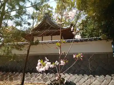 御鍬神社の本殿・本堂