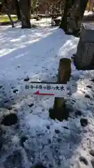 金剛院の建物その他