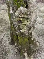 千歳神社(北海道)