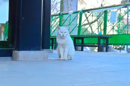 愛宕神社(東京都)