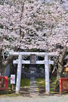 日枝神社(静岡県)