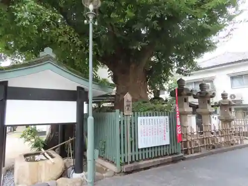 二宮神社の自然