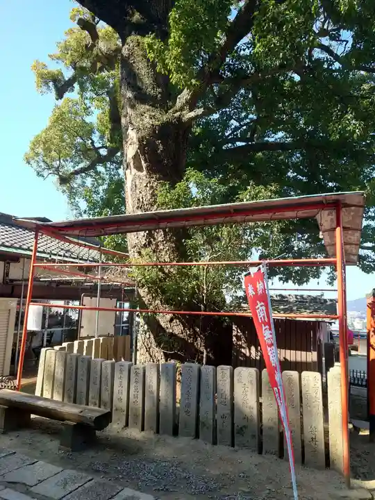 金剛宝寺(紀三井寺)の自然