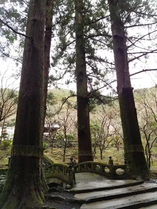 洞慶院のその他建物