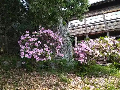阿智神社の自然
