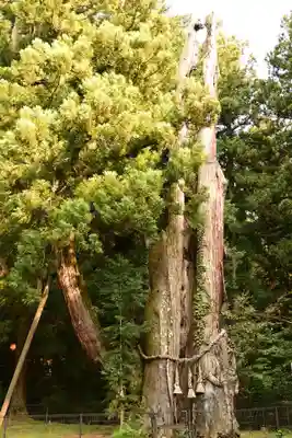 真楽寺(長野県)