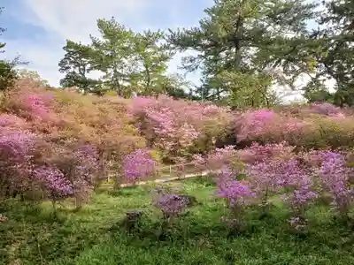 廣田神社(兵庫県)