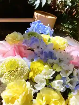 本郷氷川神社(東京都)