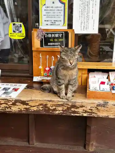 王子神社(徳島県)