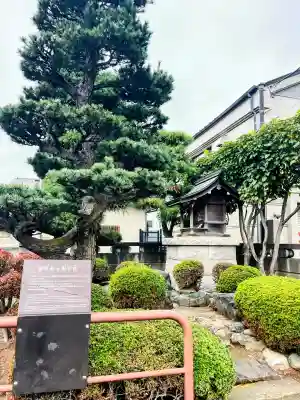 明星社の{uncategorized: "未分類", other: "その他", undefined: "問題あり", building: "その他建物", grave: "お墓", sacred_gate: "鳥居", guardian: "狛犬", statue: "像", buddha: "仏像", history: "歴史", nature: "自然", garden: "庭園", animal: "動物", pagoda: "塔", temizu: "手水舎", mountain_gate: "山門・神門", sanctuary: "本殿・本堂", subordinate: "末社・摂社", art: "芸術", scenery: "景色", jizo: "地蔵", ema: "絵馬", goshuin: "御朱印", omikuji: "おみくじ", items: "授与品その他", amulet: "お守り", goshuincho: "御朱印帳", eats: "食事", festival: "お祭り", votive_dance: "神楽", shichigosan: "七五三参", wedding: "結婚式", experience: "体験その他", initially: "初詣", around: "周辺", anti_infection: "感染症対策"}