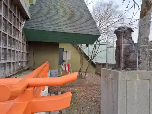 鳥取神社の狛犬