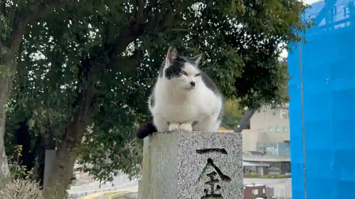 王子神社(徳島県)