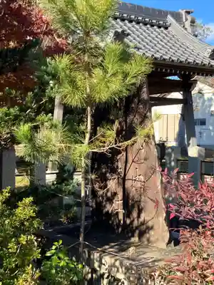 加毛神社(岐阜県)