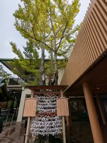 白山神社(新潟県)