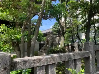 猿江神社の狛犬