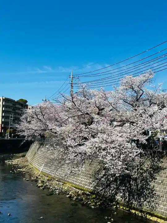 弘明寺の{uncategorized: "未分類", other: "その他", undefined: "問題あり", building: "その他建物", grave: "お墓", sacred_gate: "鳥居", guardian: "狛犬", statue: "像", buddha: "仏像", history: "歴史", nature: "自然", garden: "庭園", animal: "動物", pagoda: "塔", temizu: "手水舎", mountain_gate: "山門・神門", sanctuary: "本殿・本堂", subordinate: "末社・摂社", art: "芸術", scenery: "景色", jizo: "地蔵", ema: "絵馬", goshuin: "御朱印", omikuji: "おみくじ", items: "授与品その他", amulet: "お守り", goshuincho: "御朱印帳", eats: "食事", festival: "お祭り", votive_dance: "神楽", shichigosan: "七五三参", wedding: "結婚式", experience: "体験その他", initially: "初詣", around: "周辺", anti_infection: "感染症対策"}