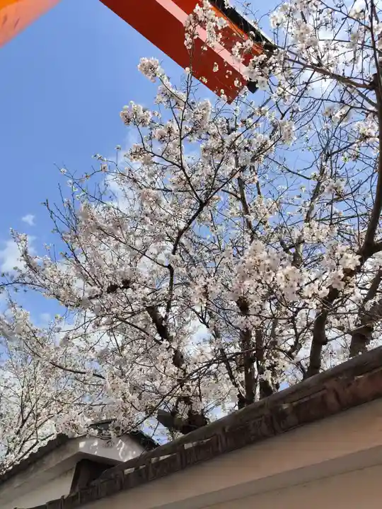 伏見稲荷大社(京都府)