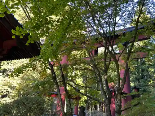 北口本宮冨士浅間神社(山梨県)