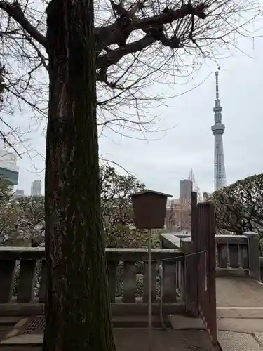 待乳山聖天（本龍院）(東京都)