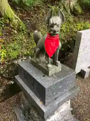 飛騨一宮水無神社の狛犬