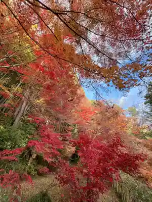 教林坊(滋賀県)