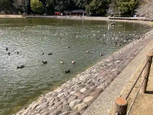 橿原神宮(奈良県)