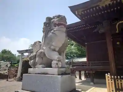 赤羽八幡神社の狛犬