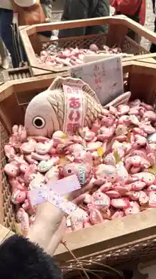 川越氷川神社(埼玉県)