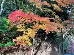 永源寺の景色