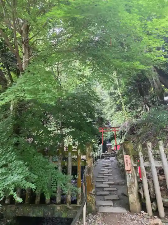 松尾大社(京都府)